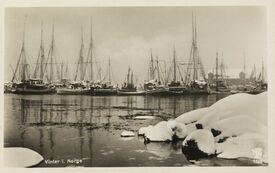 «Vinter i Norge», fra havna i Svolvær. Foto: Anders Beer Wilse/Nasjonalbiblioteket