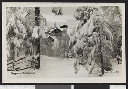 Slaktern, ukjent dato. Foto: Ukjent / Nasjonalbiblioteket