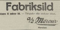 315. Annonse fra AS Mercur i Nordlys 21.08. 1923.jpg