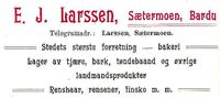 21. Annonse fra E. J. Larssen under Harstadutstillingen 1911.jpg