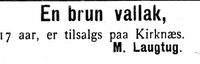 31. Annonse fra M. Laugtug i Indtrøndelagen 20.6.1906.jpg
