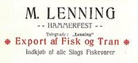 48. Annonse fra M. Lenning under Harstadutstillingen 1911.jpg