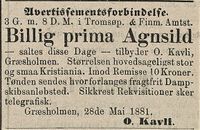 356. Annonse fra O. Kavli i Tromsø Stiftstidende 29.05.1881.jpg