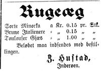 60. Annonse fra Z. Hustad i Indtrøndelagen 18.4.1900.jpg