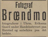 166. Annonse fra fotograf Brændmo i Tromsø Amtstidende 03.06 1893.jpg