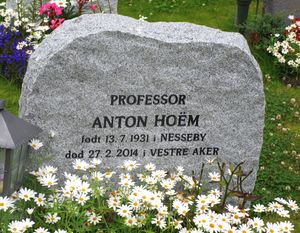 Anton Hoëm gravminne Ris.jpg