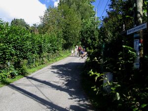 Båntjernveien Oslo 2015.jpg