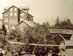 Braate mølle og sag ble i 1884 kjøpt av nye eiere som etablerte Strømmen Trævarefabrik, som leverte ferdighus til alle verdensdeler.