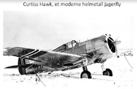 345. Curtiss Hawk.PNG