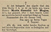 43. Dødsannonse for Marie Gunelie Tapper i Finnmarksposten 06.01. 1883.jpg