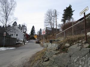 Flesåsveien Oslo 2015.jpg