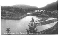 Til høgre er Glomfoss Bruk. Vi ser inntak for tømmer og vatn. Innsjøen Drang i det fjerne. Glomsdammen er under utbetring 1913. Foto: Arendal Fossekompani (1913)