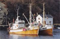 «Høydølen», H-31-B, er her i Vikafjorden april 1993. Her ser ein båten med nytt styrehus frå 1983.