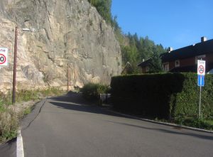 Hagaløkka Oslo 2014.jpg