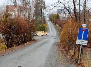 Hammerstadveien Bærum 2016.jpg
