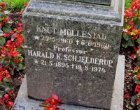 1. Harald Krabbe Schjelderup gravminne.jpg