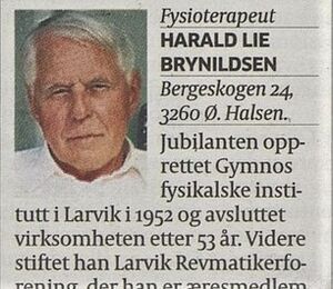 Harald Lie Brynildsen Aftenposten 2016.jpg