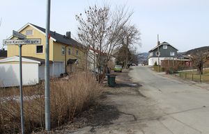 Hotvetveien Drammen 2016.JPG