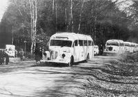 38. Hvite busser 1945.jpg