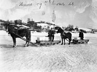 Iskjøring med hest og slede på Nitelva.