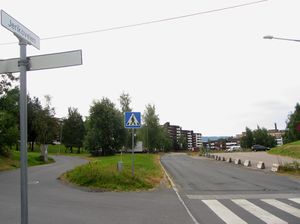 Jerikoveien Oslo 2013.jpg