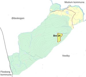 Kart over Sønju (gbnr.180-24) i Øvre Eiker kommune.jpg