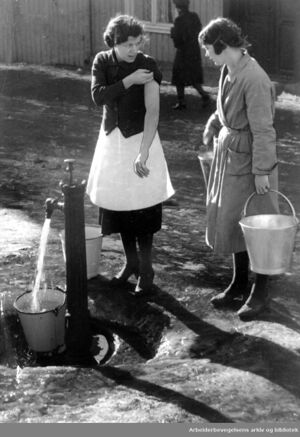 Koppevaksinerte enerhaugen 1940.jpg