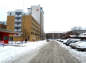 Moldegata Oslo 2015.jpg