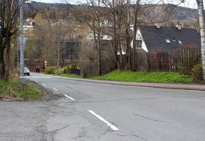 Nesveien Bærum 2016.jpg