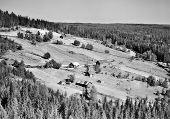 Nybråten øvre, midtre, nedre Brandval Finnskog 1959.jpg