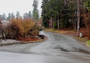 Plahteskogen Bærum 2016.jpg