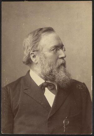 Portrett av politiker Ole Anton Qvam, 1891 - no-nb digifoto 20151202 00228 blds 07748.jpg