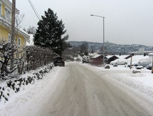 Røaveien Oslo 2014.jpg