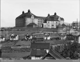Rosenhof skole med Rodeløkkens kolonihager i forgrunnen, mellom disse går Rosenhoffgata. Foto: Anders Beer Wilse/Oslo Museum (1919).