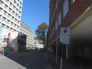 Solligata Oslo 2014.jpg