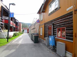 Svangsgangen Drammen 2015.JPG