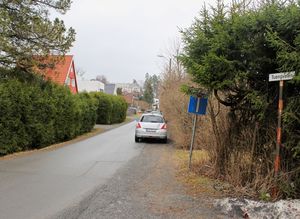 Tuengveien Bærum 2016.jpg