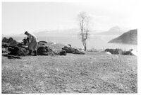 Tyske soldater i ferd med å bygge opp «Marinefunkstelle Harstad», sommeren 1940. Til venstre i bakgrunnen ses toppen av Eineberget. Til høyre ses ytre del av Gangsåsen, og helt bakerst ses Senja. Foto: Siegmund Danckwerts - Sør-Troms Museum.