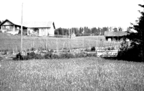 0414-01373.jpg
