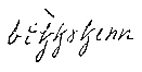 Lydskrift for den lokale uttalen av «Bikkjetjern», ifølge Oddvar Foss i hans hovedoppgave om stedsnavn på Eiker.