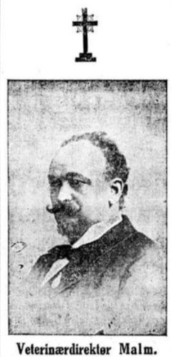 Ole Olsen Malm faksimile Aftenposten 1917.png
