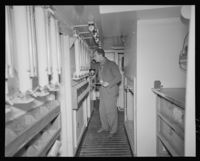 Foto: Ukjent / Nasjonalbiblioteket (1951).