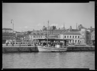 9. "Jenev" - no-nb digifoto 20151130 00310 NB MIT FNR 14125.jpg