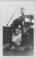 48. "Veslekari-ekspedisjonen", 1928. Bearbeiding av isbjørnskinn - no-nb digifoto 20160121 00066 bldsa veslekari n26 a.jpg