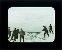 59. "Veslekari-ekspedisjonen", 1928. Mannskap forsøker å skyve unna skruis - no-nb digifoto 20160121 00013 bldsa veslekari p19.jpg