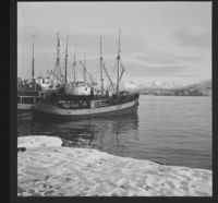 3. Ålesund - no-nb digifoto 20150211 00176 NB MIT FNR 16796.jpg