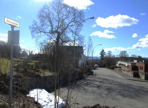 Ålmoveien Oslo 2015.jpg