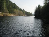 Åmotdammen sett mot sør fra nordre ende.