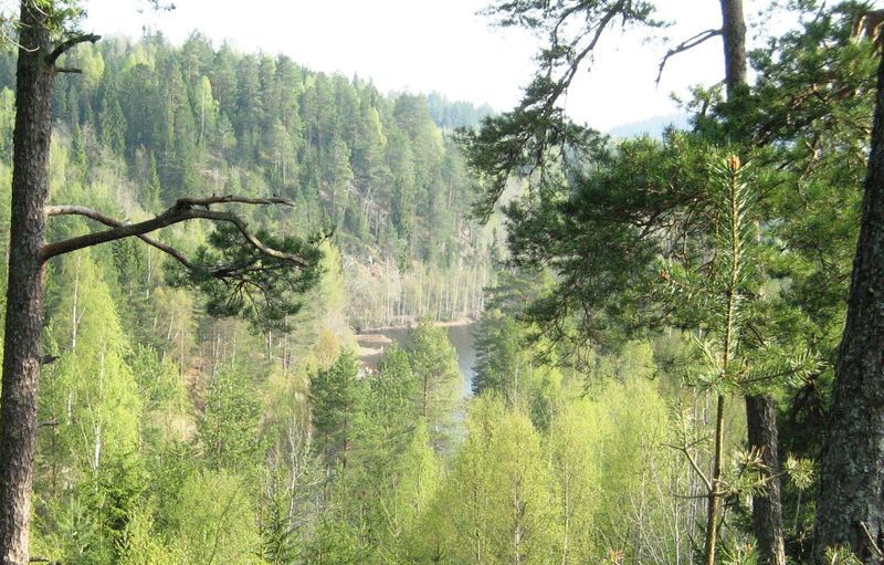 Fil:Åmotdammen4.JPG