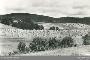 Årvoll gård 1919 OB.F18259a.jpg